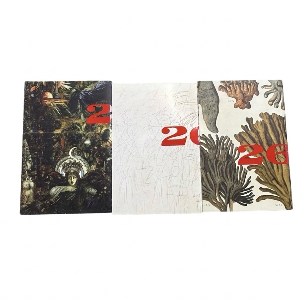 2666 by Roberto Bolaño Paperback Box Set (3 Volumes) – No Slipcase